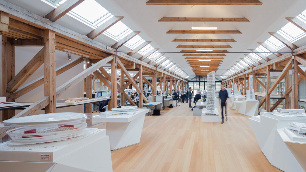 What beginners should understand about the scope and challenges of multi-sector architectural design